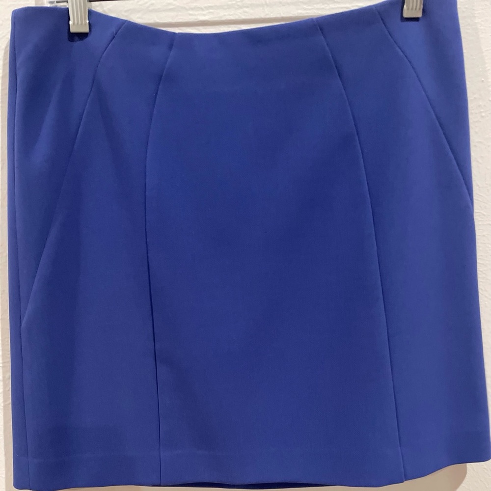 Periwinkle skirt